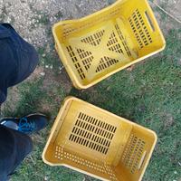 cassette per vari usi