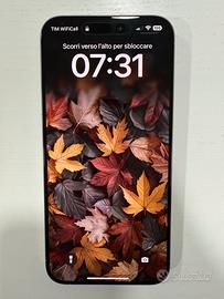 Apple iPhone 15 Pro Max 256 GB Titanium Silver