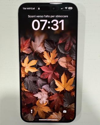 Apple iPhone 15 Pro Max 256 GB Titanium Silver