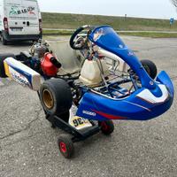 Birel kart iame