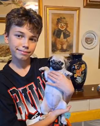 Carlino , 3 mes, con pedigree