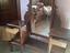 Immagine 2