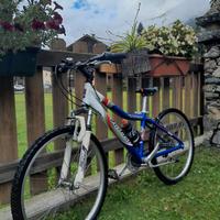 Bicicletta rock rabbit