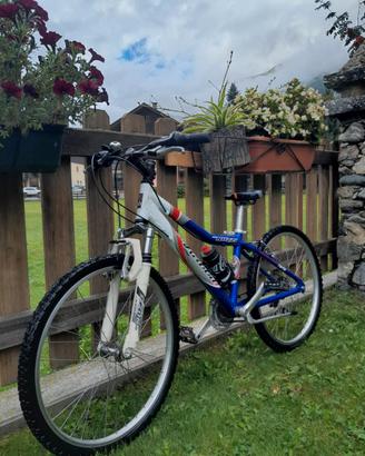 Bicicletta rock rabbit