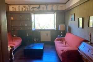 Pescasseroli prato verde 1