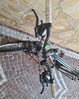 BICICLETTA BOTTECCHIA
