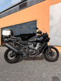 Harley-davidson Pan America 1250 Special (2022)