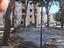 Immagine 5