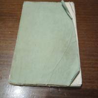 Libro Antico 1855 -P. Antonio Bresciani - Pio IX 