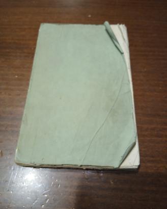 Libro Antico 1855 -P. Antonio Bresciani - Pio IX 