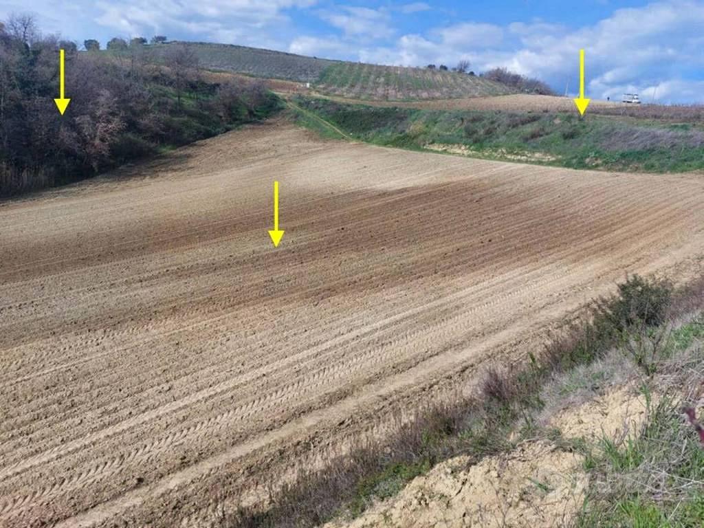 Immobile in asta di 3040 m² a Altomonte - Vista 4