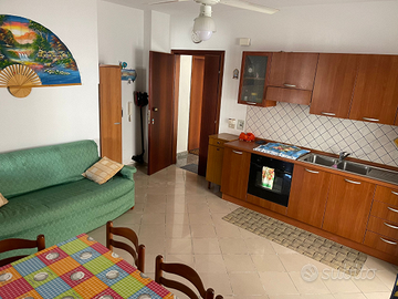 Appartamento piano terra