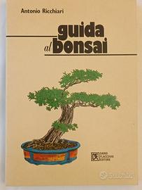 Guida al bonsai