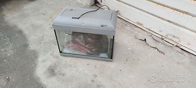 acquario 50cm x 30cm  circa 40 litri