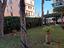 Immagine 26