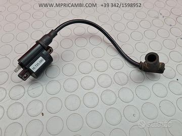 BOBINA PIPPETTA GAS GAS EC 300 2T 2009 2010 EC300