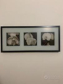 quadro moderno orchidee bianco nero con cornice