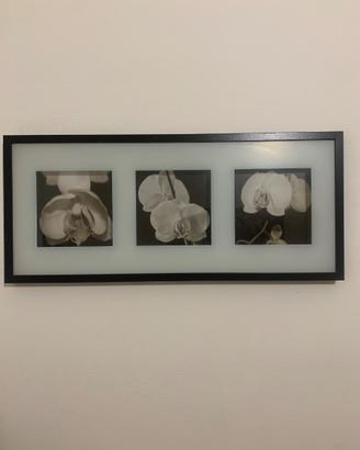 quadro moderno orchidee bianco nero con cornice