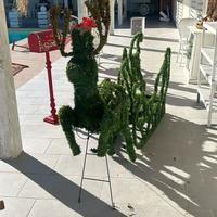 Renna slitta natalizia