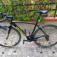 Bici da corsa Specialized carbonio