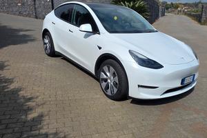 TESLA Model Y Long Range Dual Motor AWD – 2022