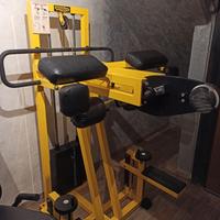 Standing Gluteus Tecnogym