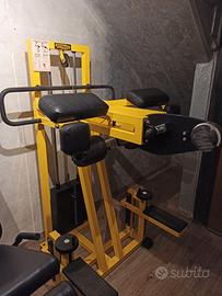 Standing Gluteus Tecnogym