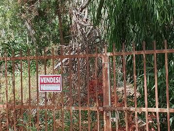 Terreno agricolo alberato vicino al mare