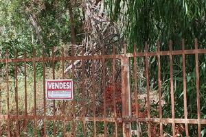 Terreno agricolo alberato vicino al mare