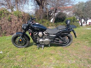 Benda Chinchilla 500