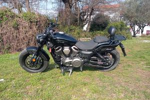 Benda Chinchilla 500