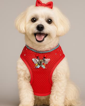 Pettorina rossa con farfalle a rilievo