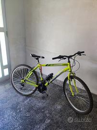 Bicicletta 