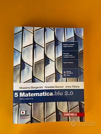 Matematica blu 5