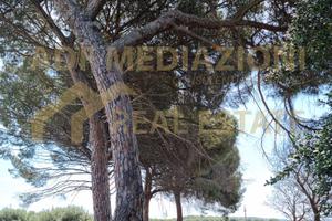 Terreno Con Casa Accatastata