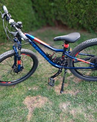 bici  Mountainbike