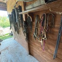 Attrezzi per cavalli