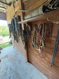Attrezzi per cavalli