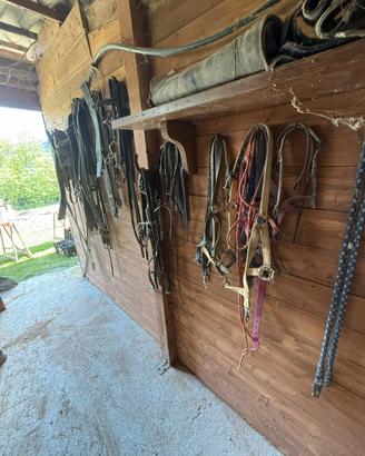 Attrezzi per cavalli