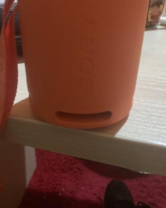 Cassa Bluetooth Sony