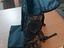 Immagine 4
