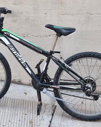 Bicicletta mountain bike 