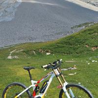 Ebike Haibike Dwnhll Pro