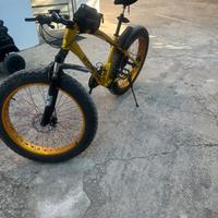 Fat bike