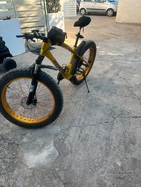 Fat bike