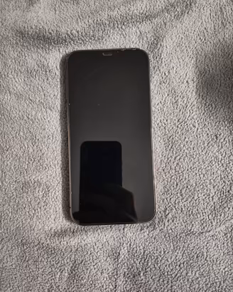 iPhone 12 Pro Max ricondizionato 
