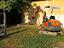 Immagine 12
