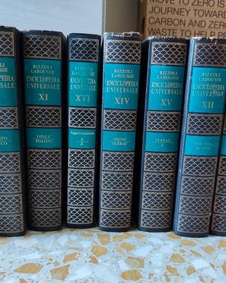 Enciclopedia Universale Rizzoli Larousse 