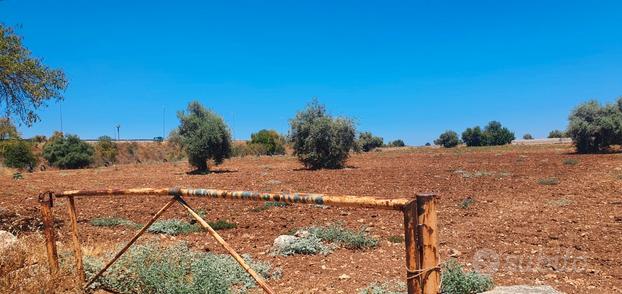 Terreno agricolo Borgo del Cassibile