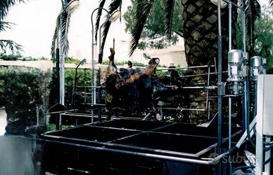 Barbecue con griglia regolabile 